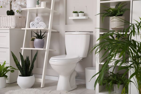 Cost of Toilet Repair in Goodyear