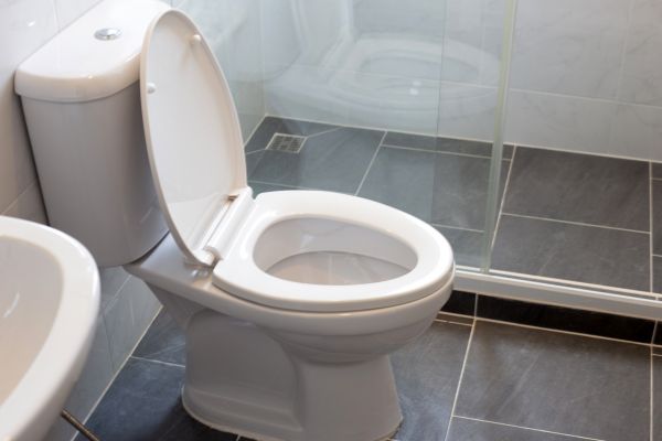 Cost of Toilet Replacement in Goodyear