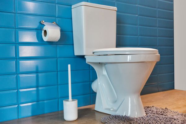 Cost of Toilet Tank Repair in Goodyear