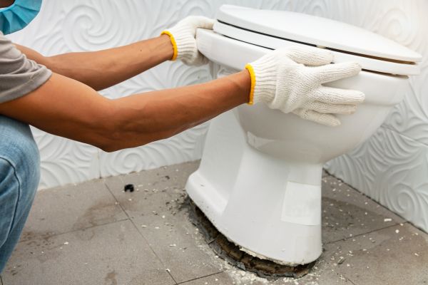 Cost of Toilet Removal in Goodyear