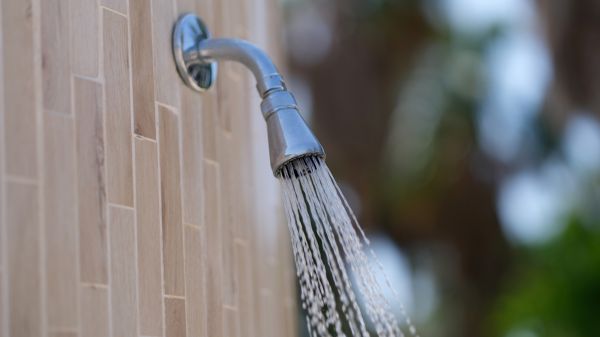 Cost of Showerhead Repair in Goodyear