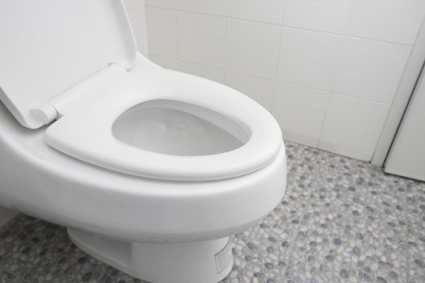 Cost of New Toilet Installation in Goodyear
